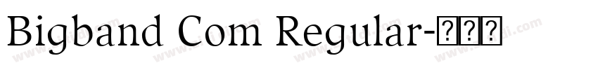 Bigband Com Regular字体转换